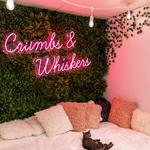 Crumbs & Whiskers | Kitten & Cat Cafe.