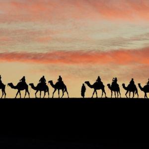 Sunset Camel Ride in Morocco