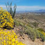 North Mountain Park