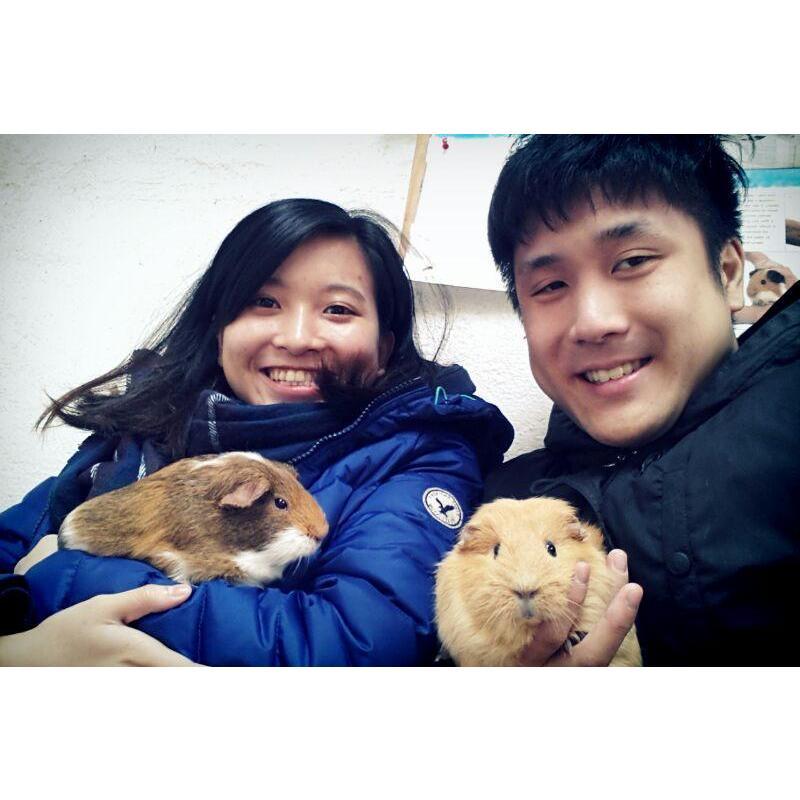 2013, Collingwood Children's Farm