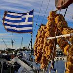 Tarpon Springs Sponge Docks