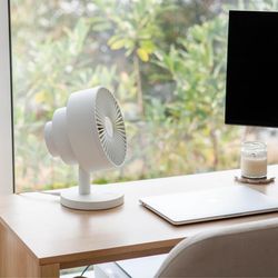 Windmill Air, Smart Whisper-Quiet Air Circulator | Zola