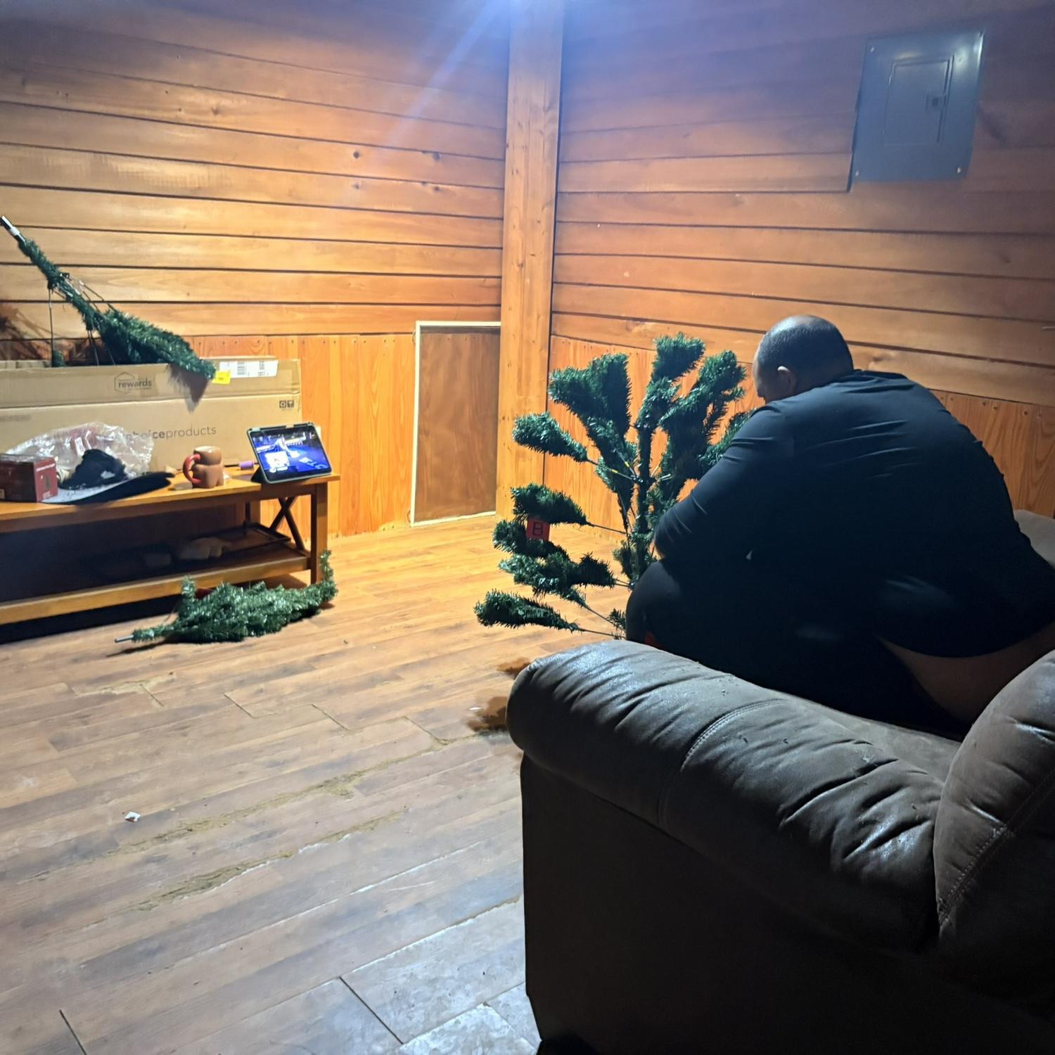 Set up of our first tree!!!