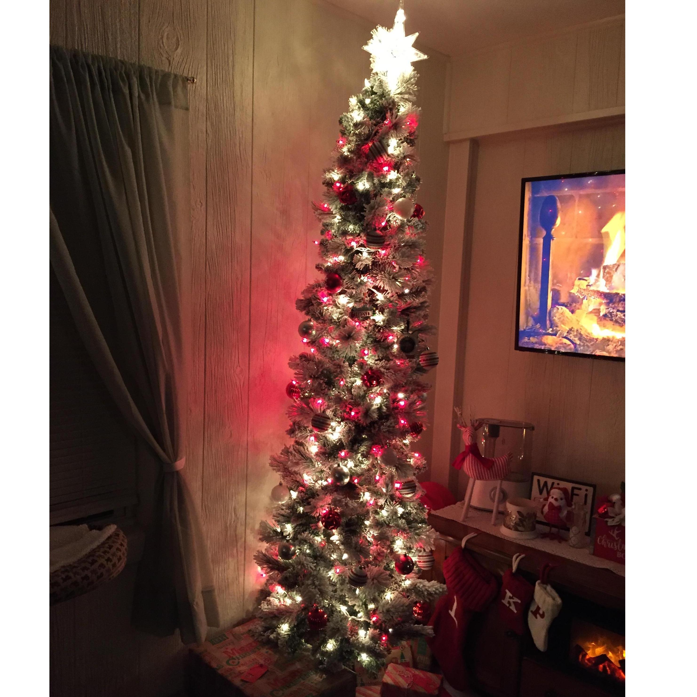 Our second Christmas tree!