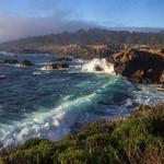 Point Lobos State Natural Reserve