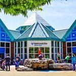 Saint Louis Zoo