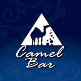 Camel Bar & Rooftop