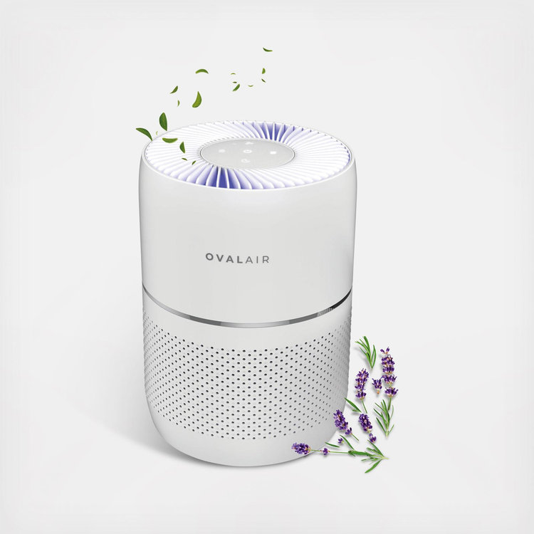 Oval Air, 3-Stage H13 Smart True HEPA Desk Air Purifier for Rooms