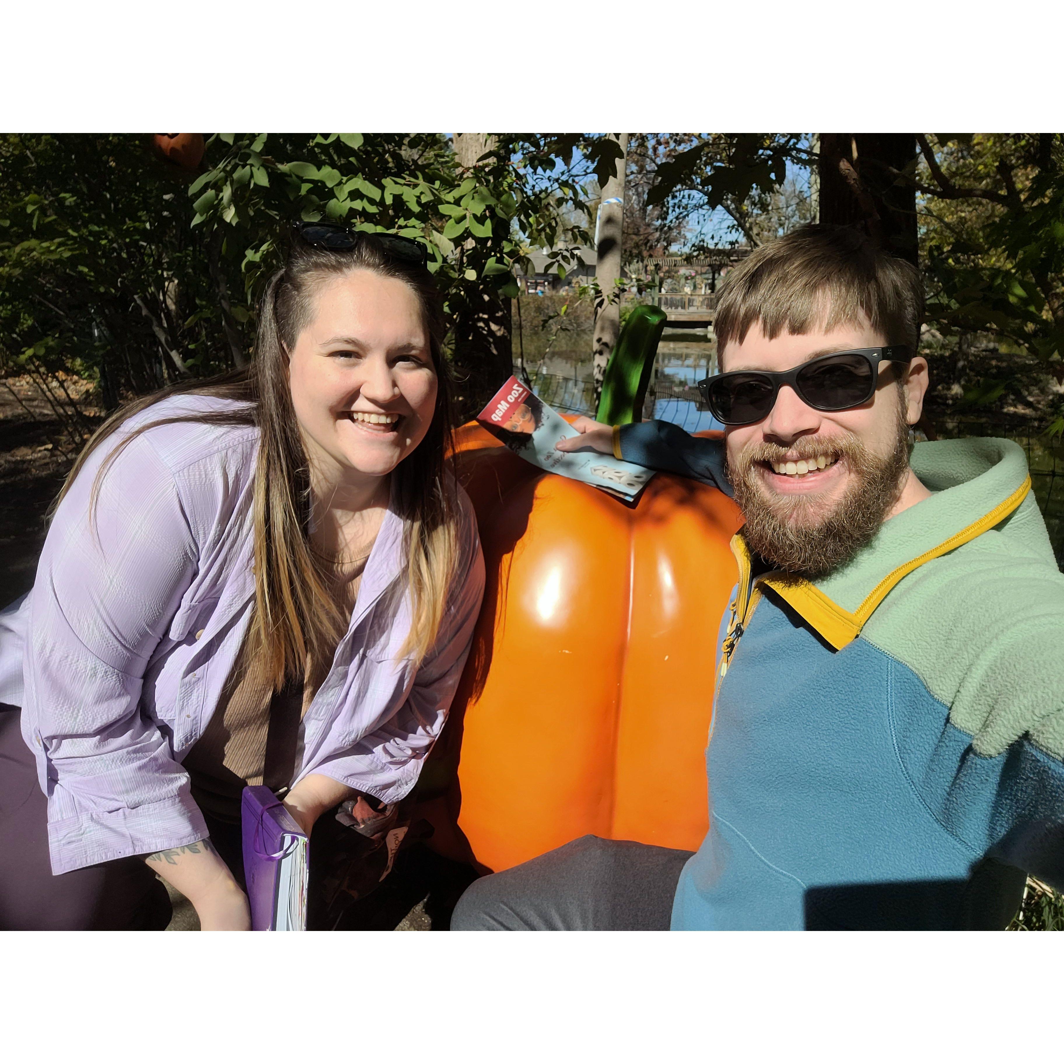 St. Louis Zoo October 2024