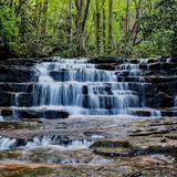 Lowry Falls Trail