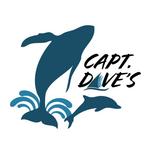 Capt Dave's Dolphin & Whale Watching Safari