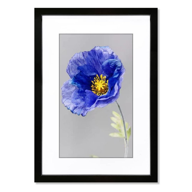 VNVNK 22x28 Frame Black, Perfect for 22x28 Inch Picture without Mat or 18x24 Inch Picture with Mat, Home Wall Decor Picture Frame-1 PCS