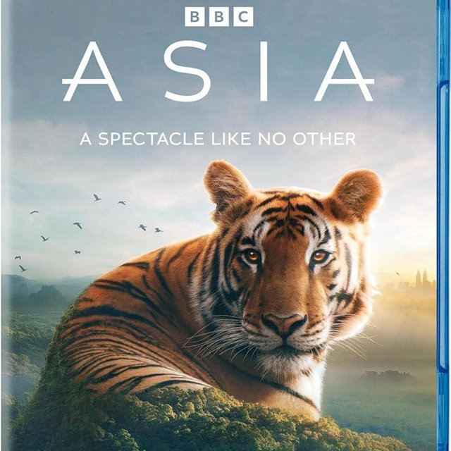 Asia (Blu-ray)