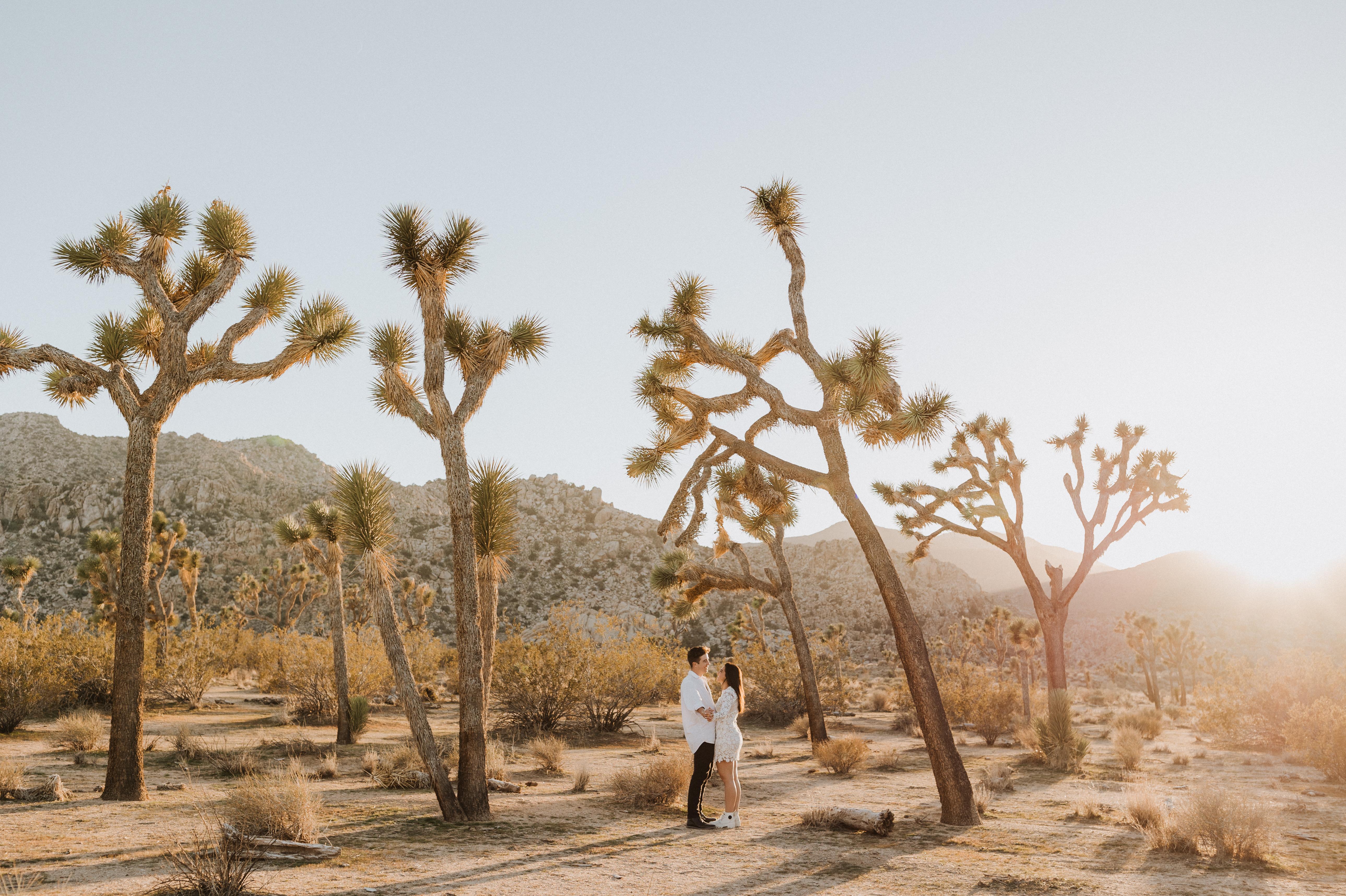 The Wedding Website of Janine Montag and Louie Romagnoli