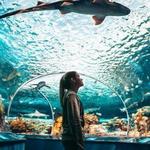 Ripley's Aquarium of Canada