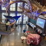 Visit New Bedford Whaling Museum