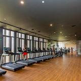Fitness y diversion: