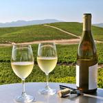 Go Wine Tasting