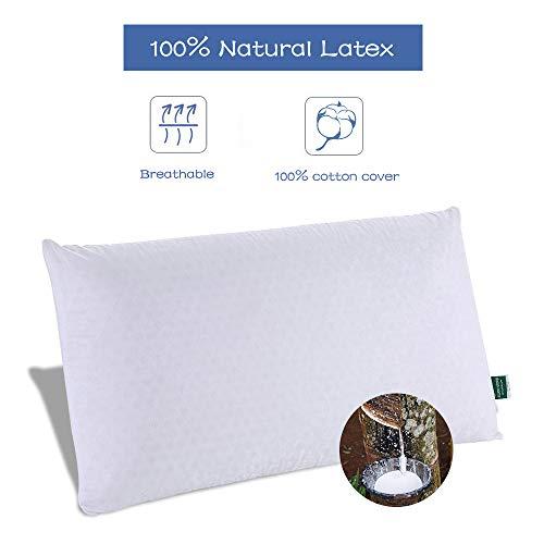 SWEESLEEP Medium Soft Natural Talalay Latex Foam Bed Pillow Eco-Friendly for Sleeping with 100% Cotton Zippered Cover, Standard Size (24 x16 x5 Inch)