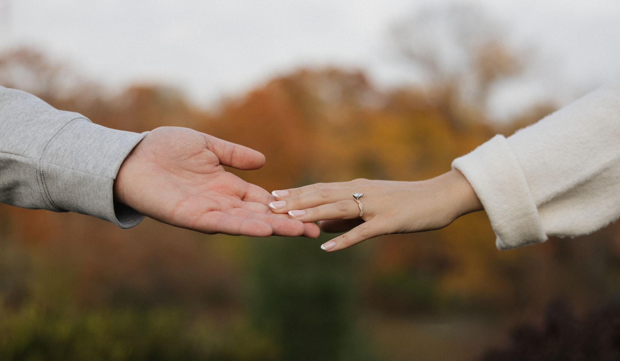 Hero Slideshow Image 1