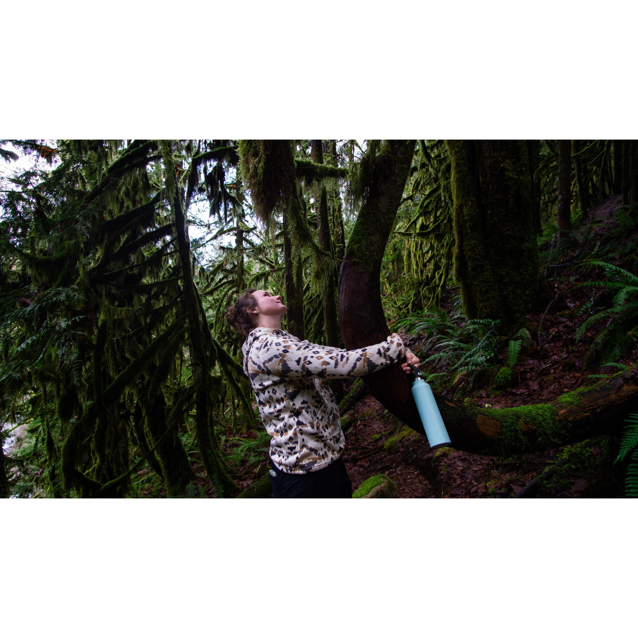 Ellie hugging one of the bending trees on the way to Race Horse Falls