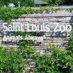 Saint Louis Zoo