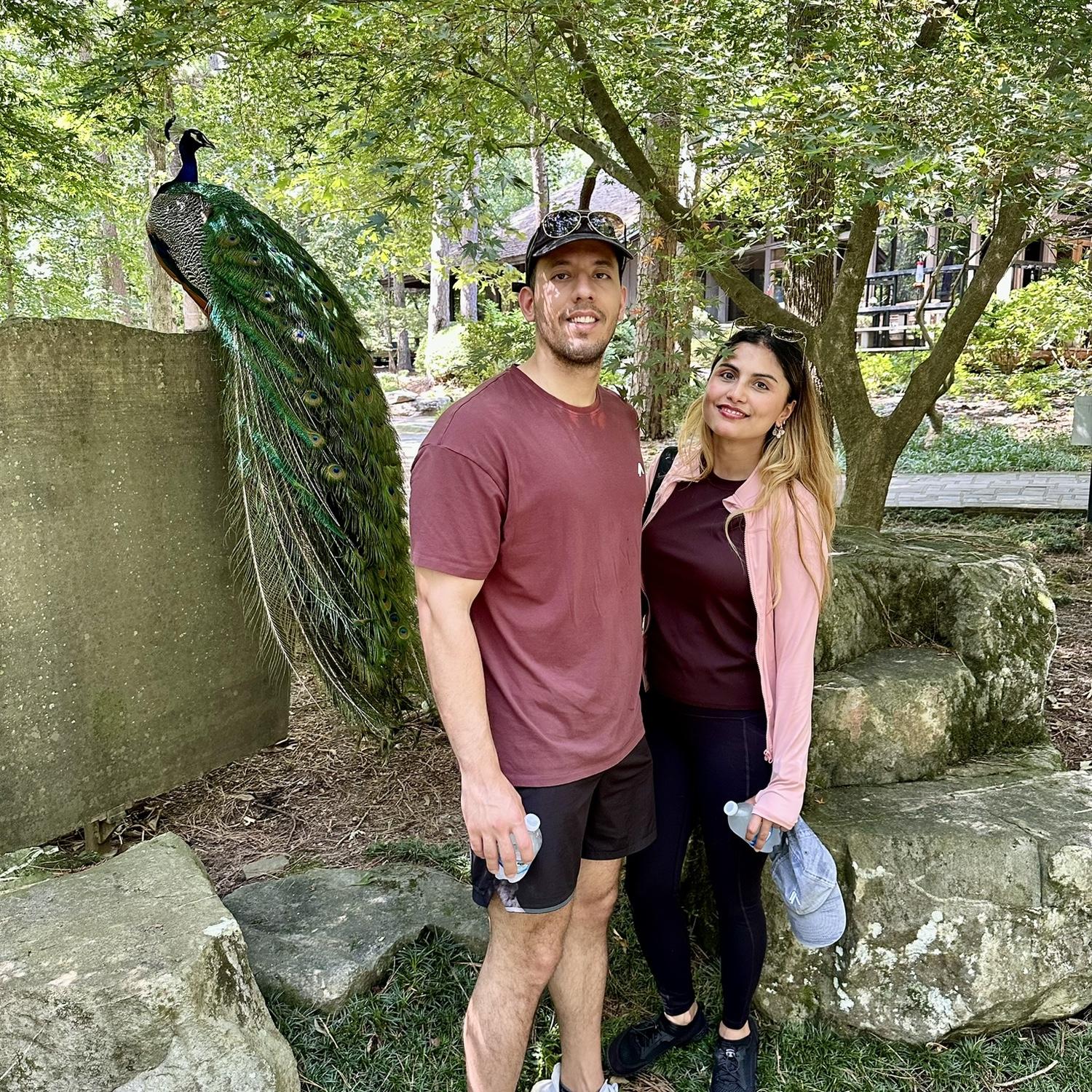 One of our special moments 🦚 at Hotsprings