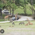 Fossil Rim Wildlife Center