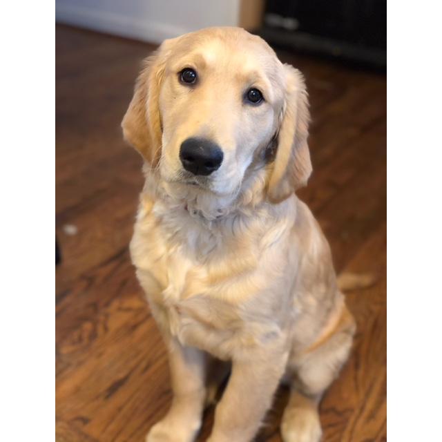 Cincinnati, OH | Kevin about 4 mos.