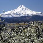 Hood River Fruit Loop