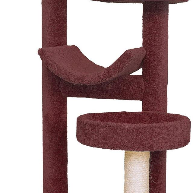 Kitty Jungle Gym