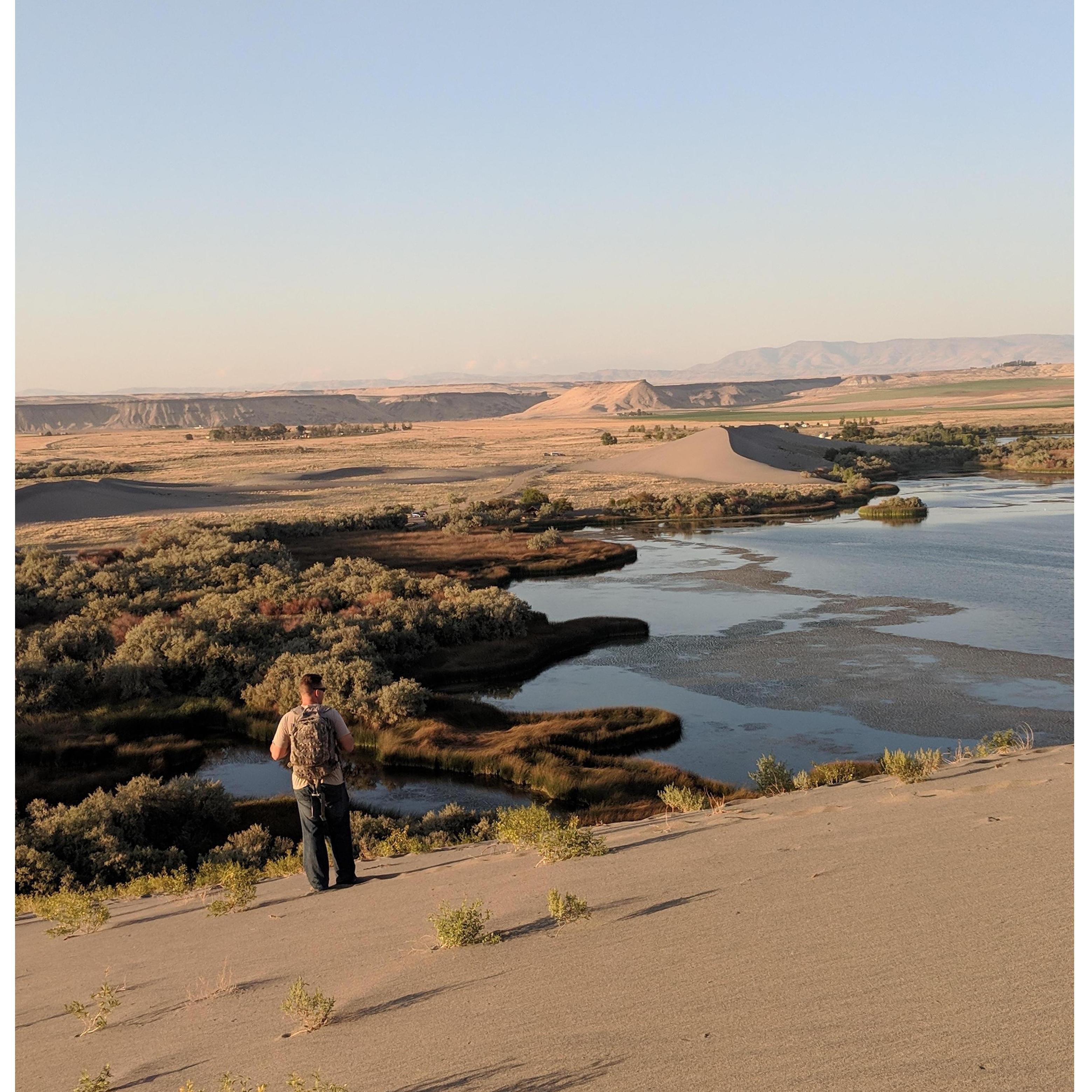 Bruneau Dunes