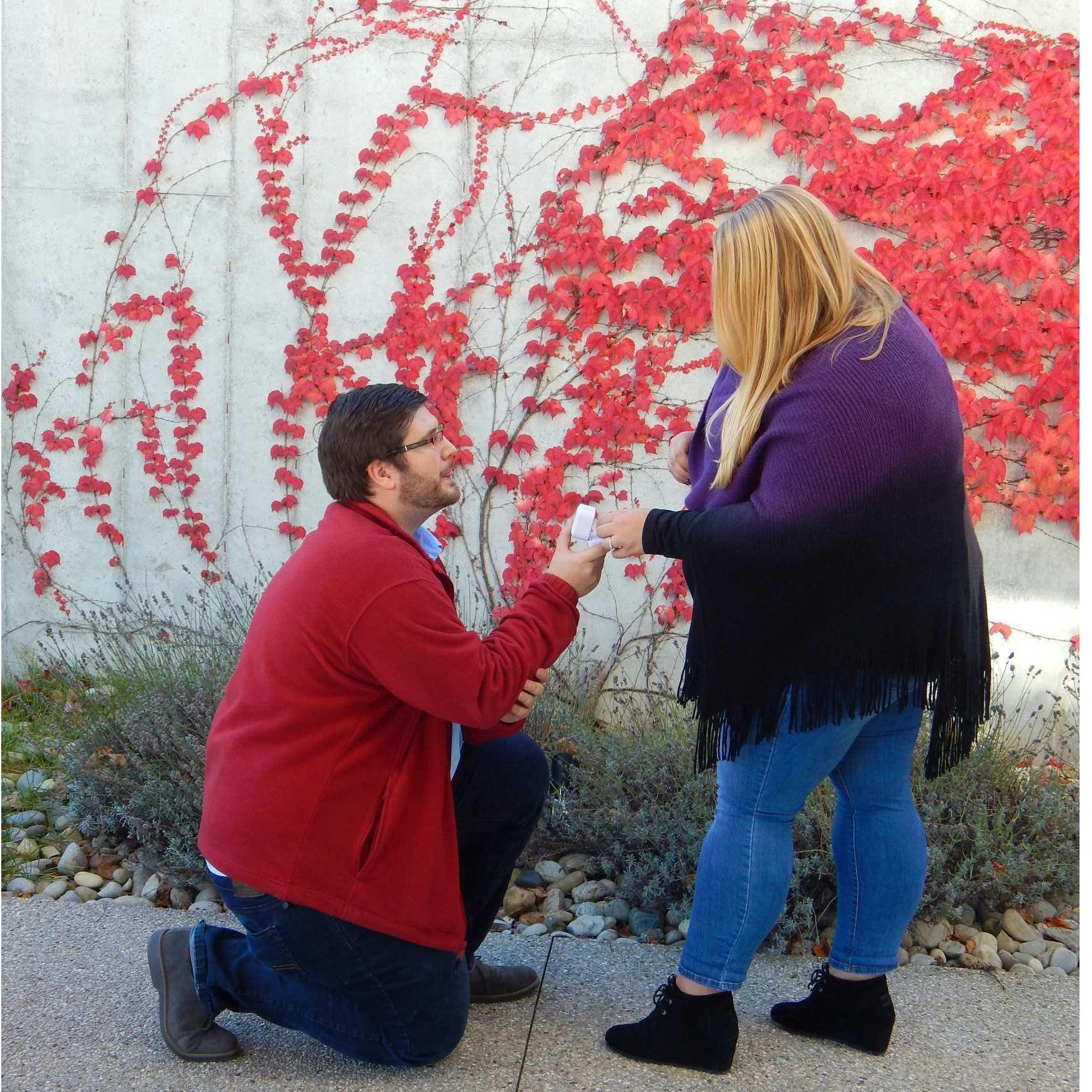 Proposal @ Brengman Brother's Winery! 11.6.2016