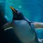 Loveland Living Planet Aquarium