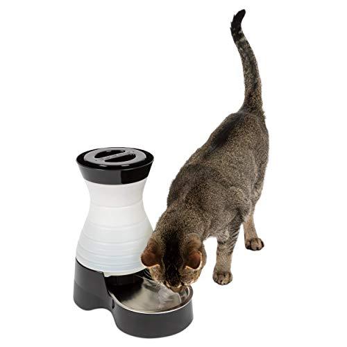 PetSafe Healthy Pet Water Station Dog and Cat Water System with Stainless Steel Bowl