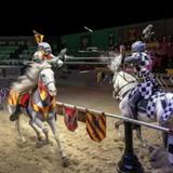 Medieval Times Dinner & Tournament
