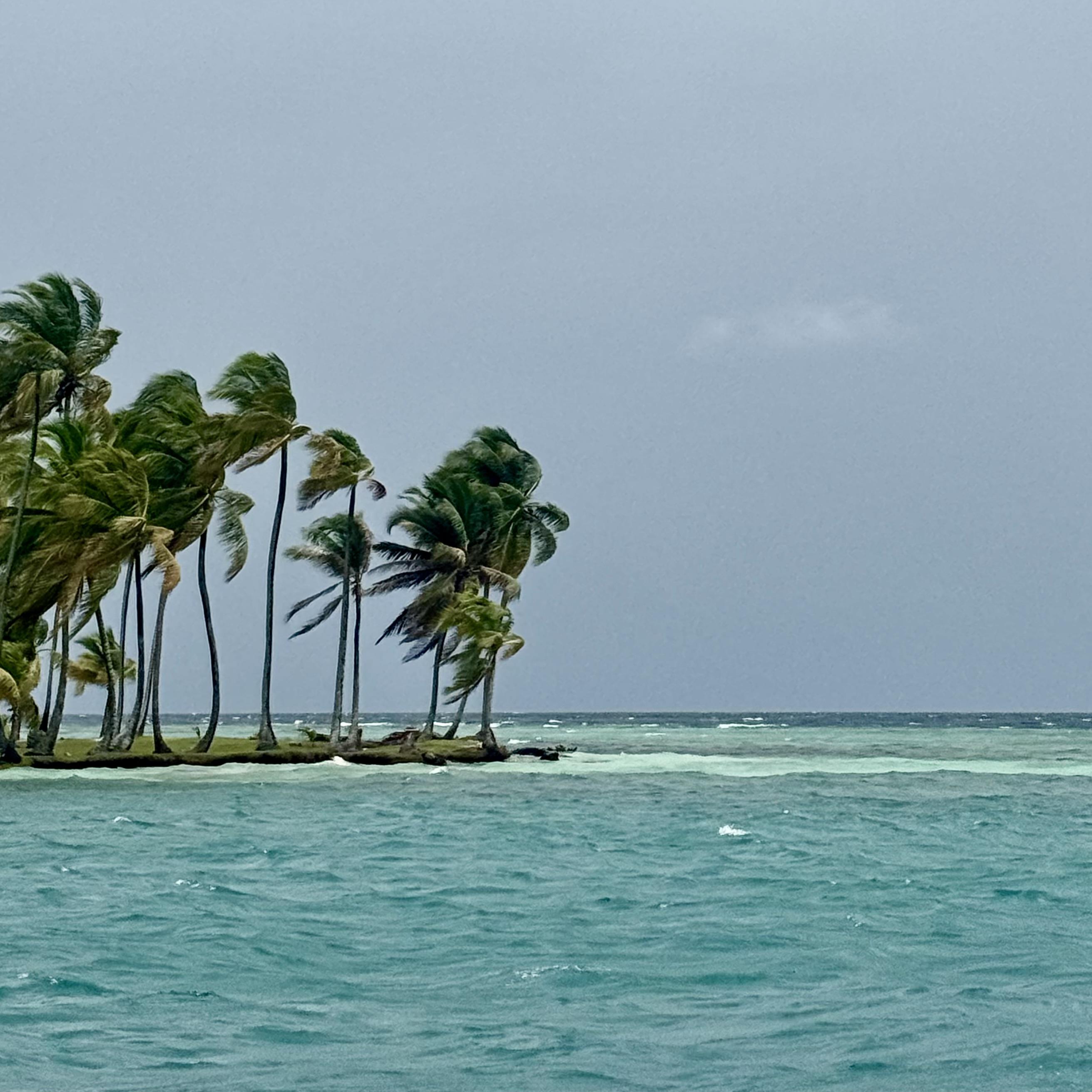 The Wedding Website of Daniela Estrada and Santiago Moreno