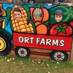 Ort Farms