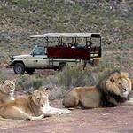 Aquila Private Game Reserve