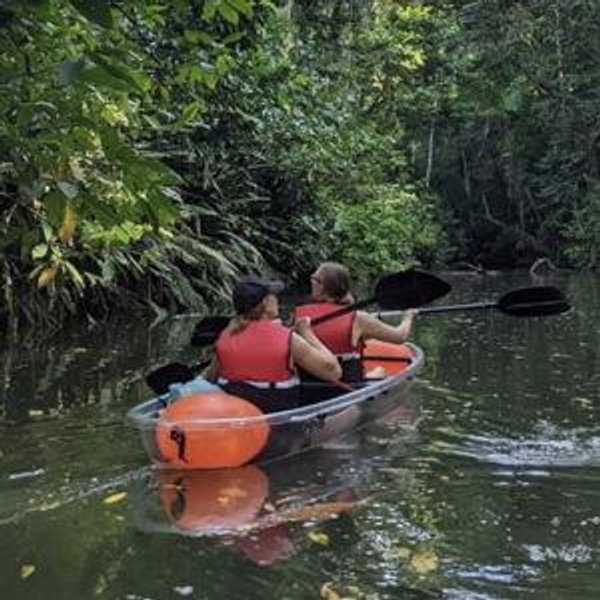 Clear Kayak Tour - Punta Uva Jungle and Carribean Coast