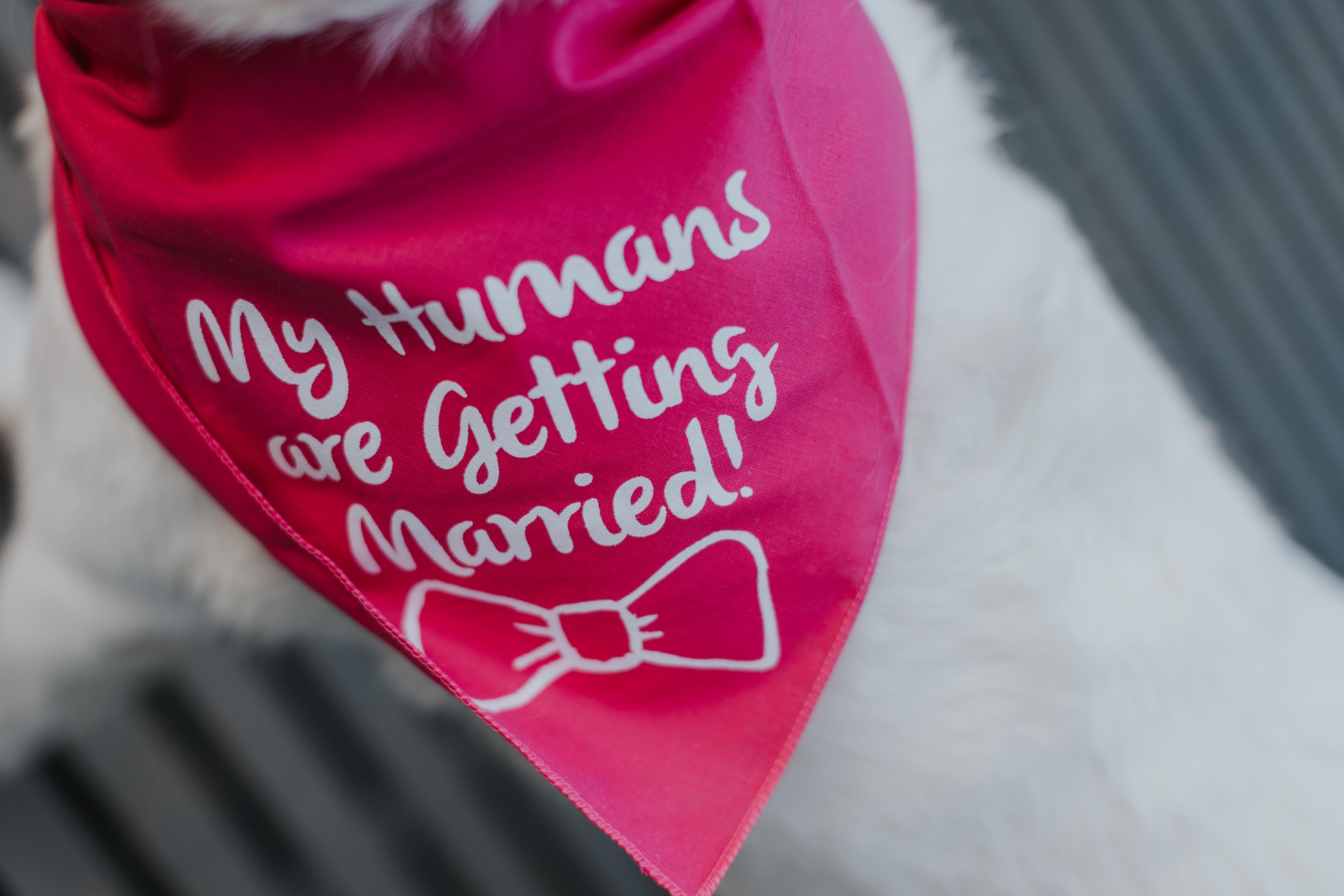 The Wedding Website of Morgan Manry and Ang Li