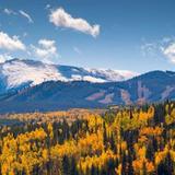 Leaf Peeping