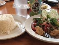 Tiny Thai Restaurant