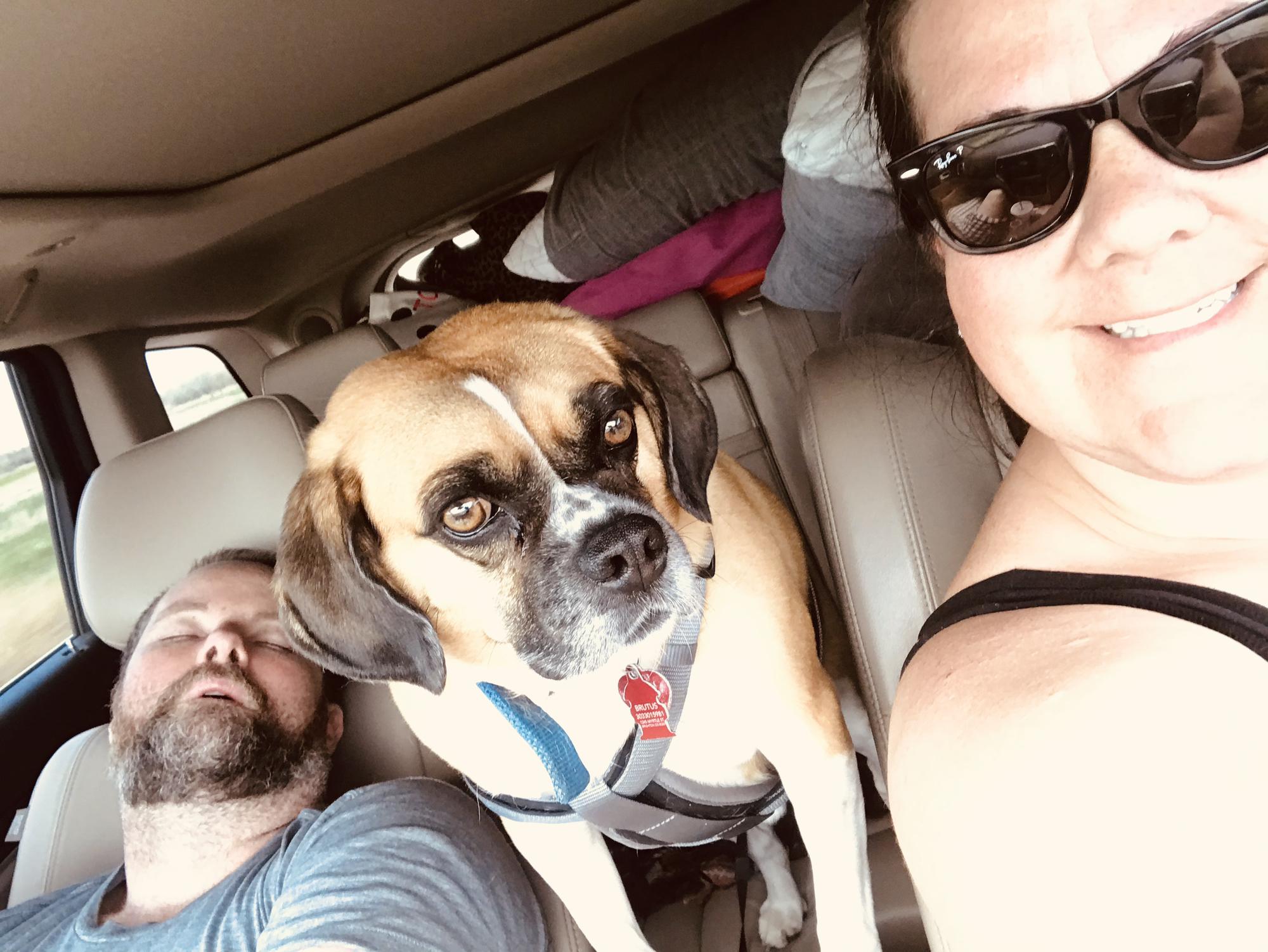 On the way home from camping.