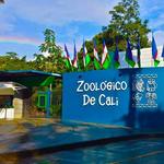 Zoológico De Cali