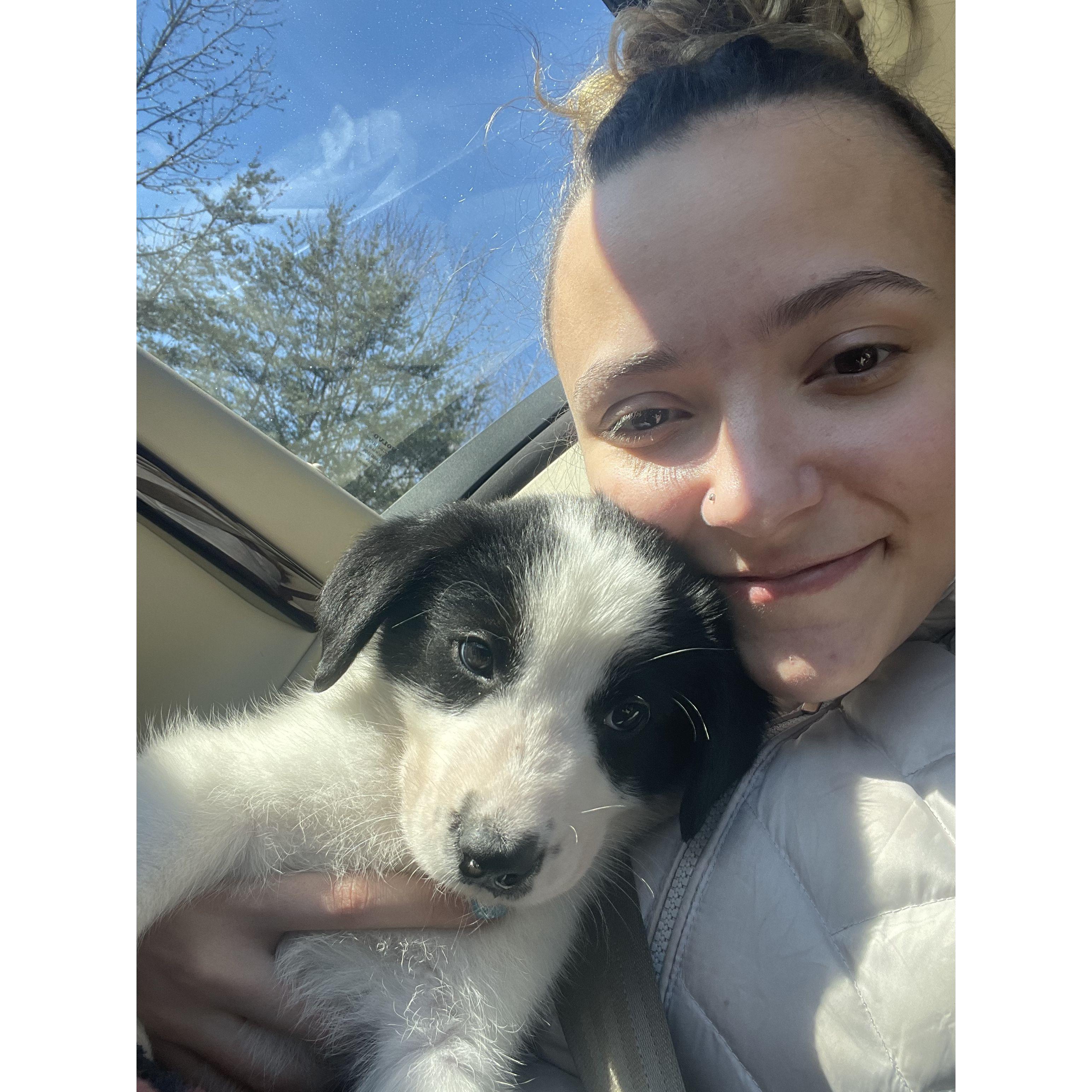 Welcoming our Christmas puppy, Milo Bean Corfman-Mann! At 8 weeks old, 8 lbs, we adopted our first puppy!