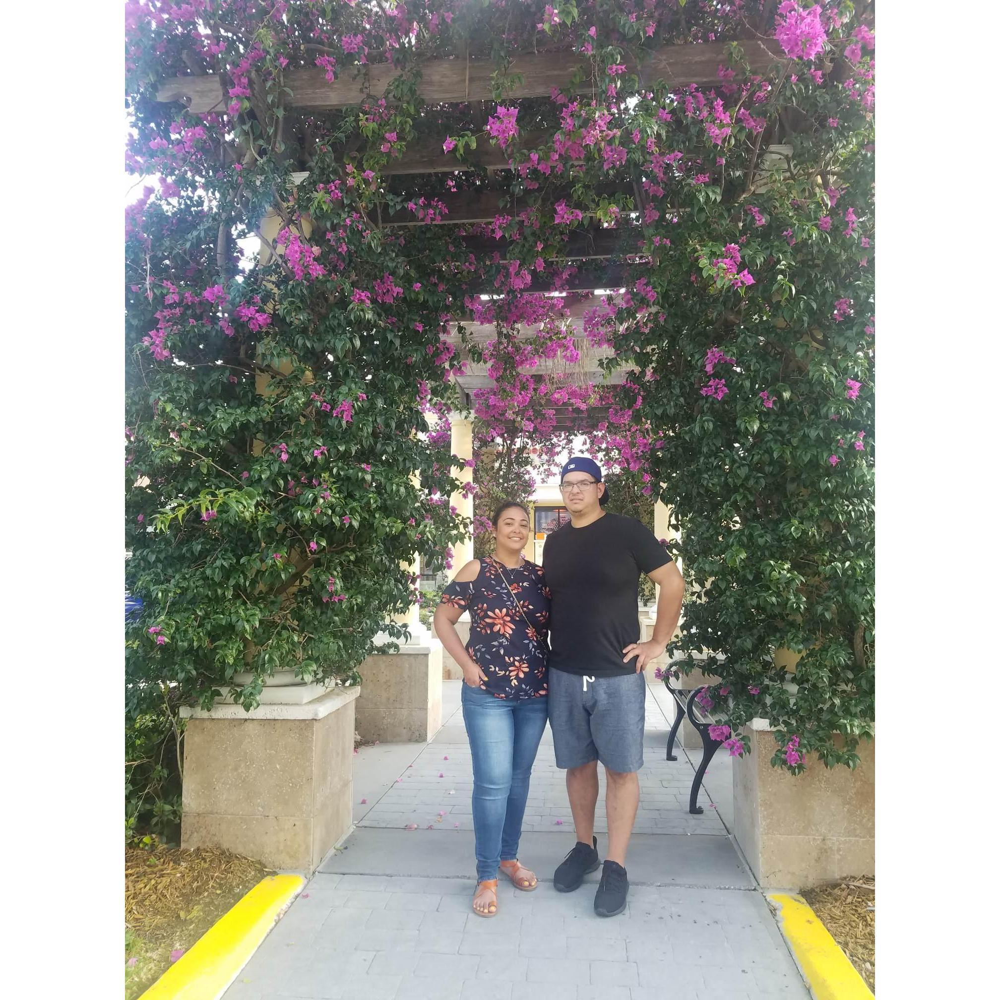 Trip to West Palm Beach