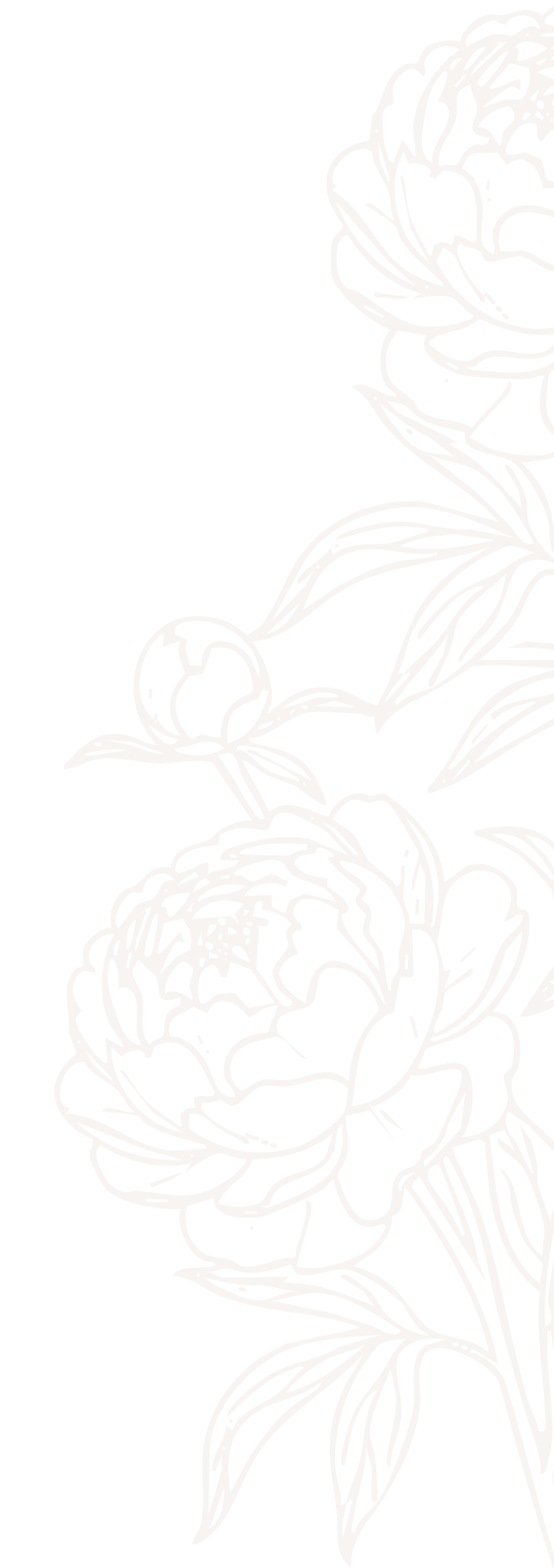 peonies