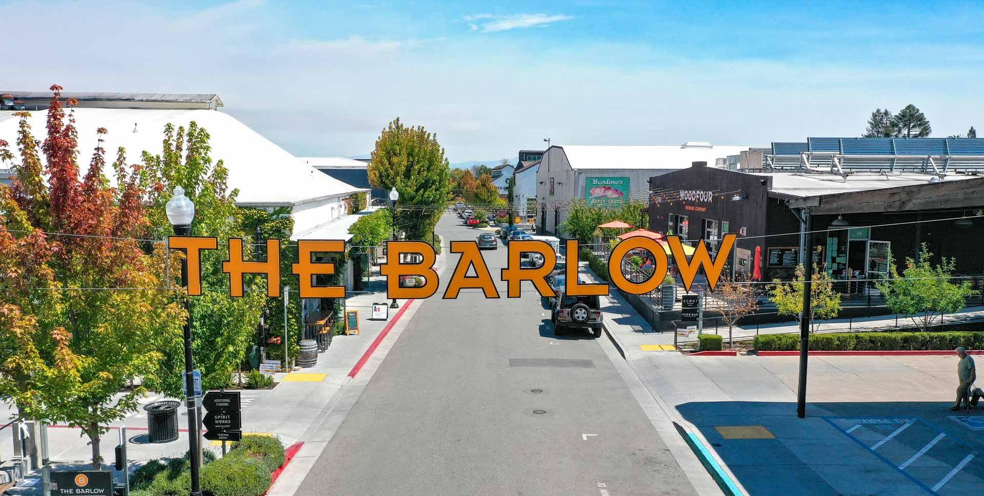 The Wedding Website of Cecily Clark and Drew Silveri