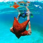 Isla Saona